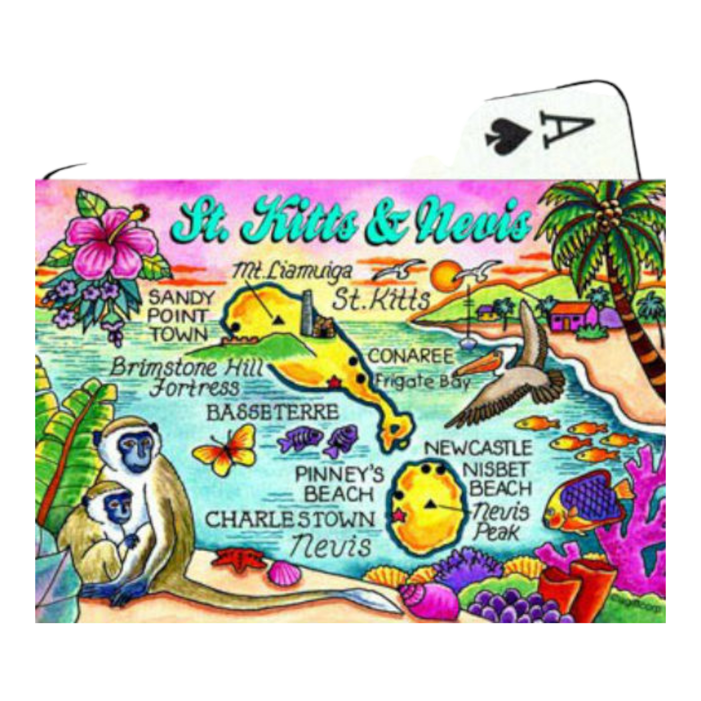 St. Kitts and Nevis Map Collectible Souvenir Playing Cards