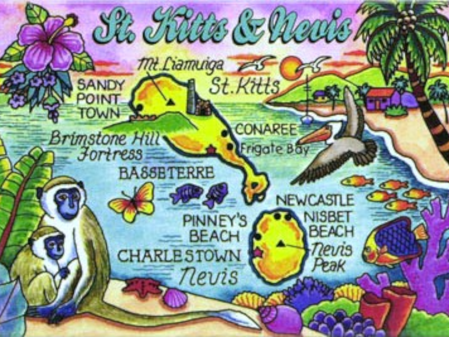 St. Kitts & Nevis Map Caribbean Fridge Collector's Souvenir Magnet 2.5" X 3.5"