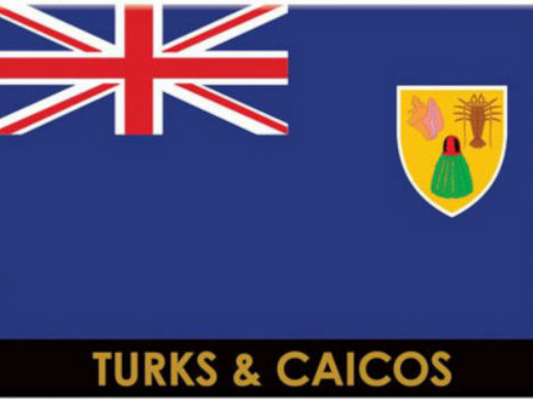 Turks and Caicos Flag Caribbean Fridge Collector's Souvenir Magnet 2.5 inches X 3.5 inches