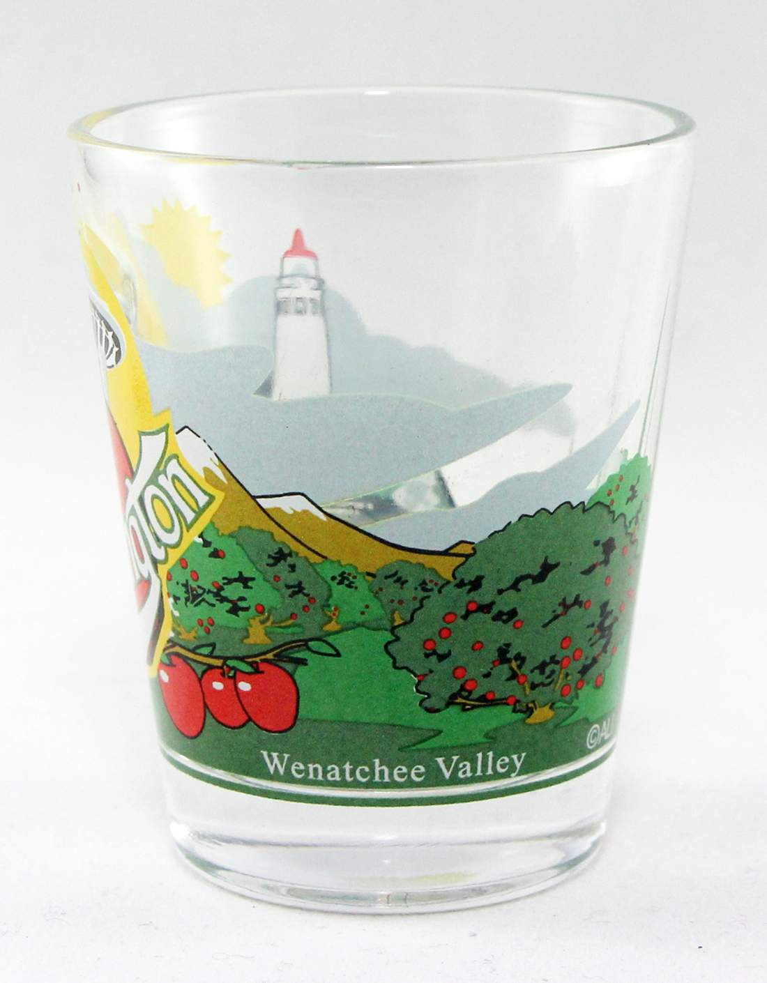 Washington State 3 View Shot Glass